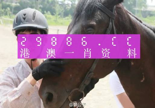 澳门和香港必中一一肖一码服务内容|全面释义解释落实